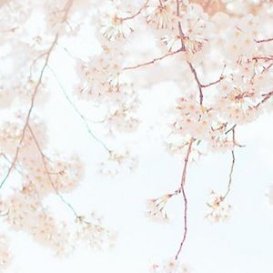 Meet your Posher, Seong joo